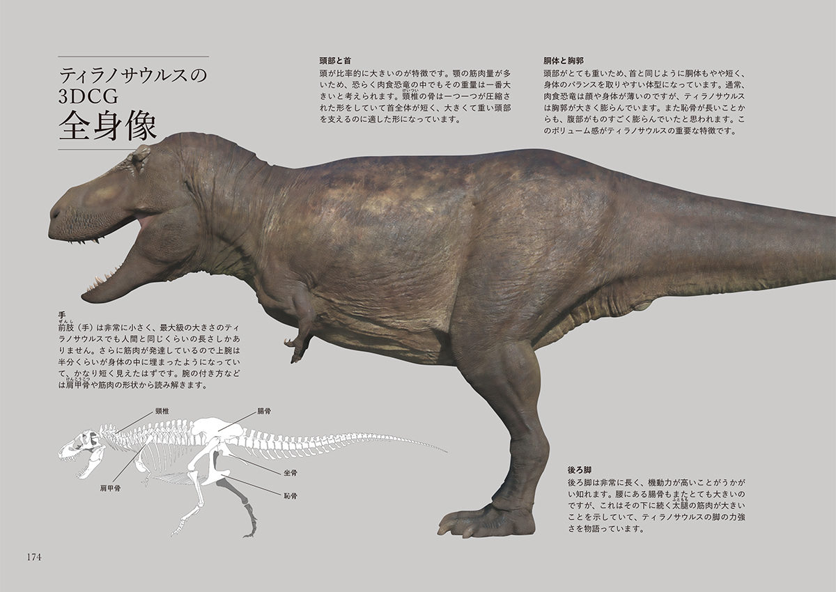 ≪超目玉☆12月≫ d12図録 驚異の大恐竜博